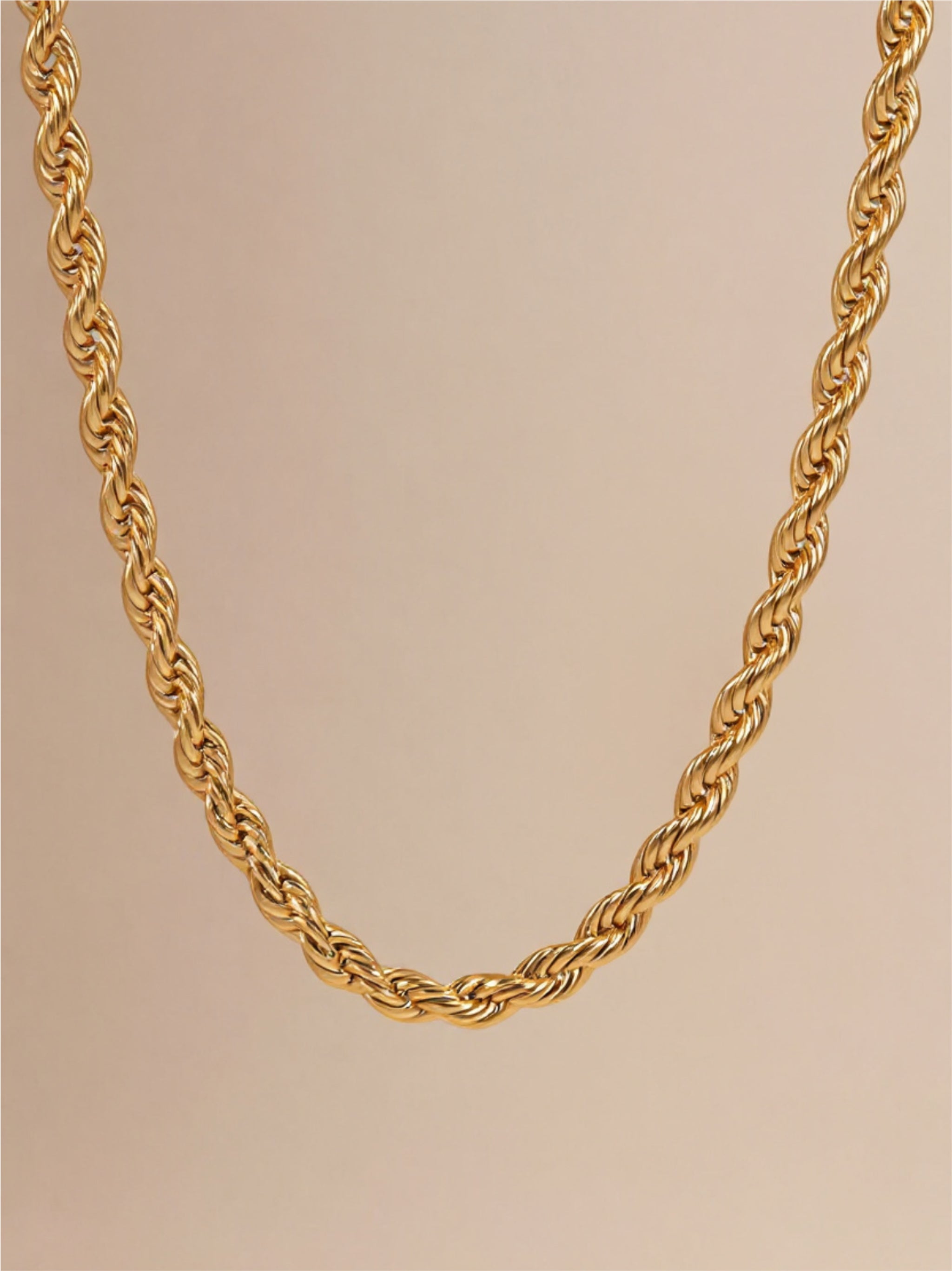 18K Gold Steel Twist Necklace