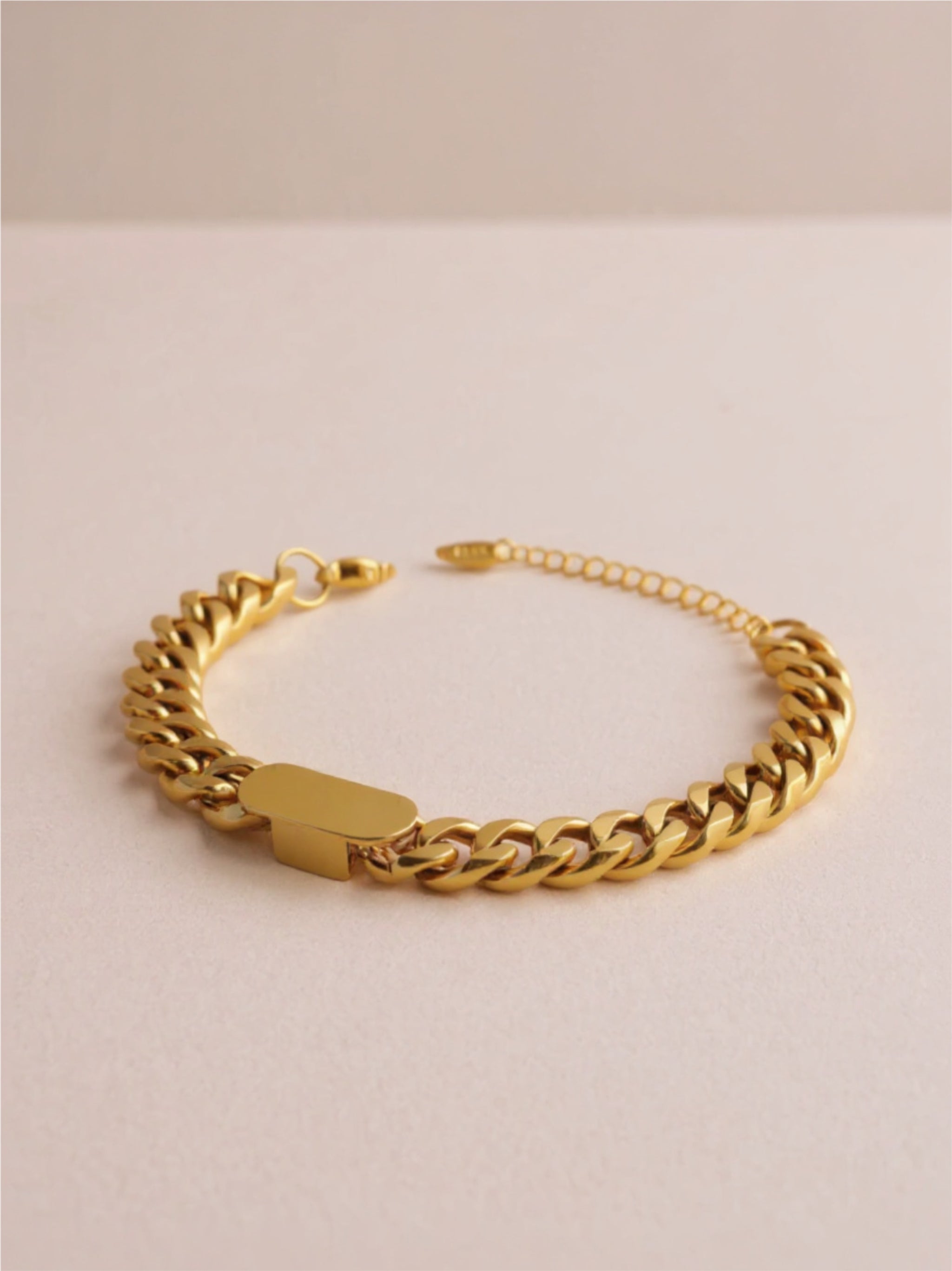 18K Gold Steel Bracelet