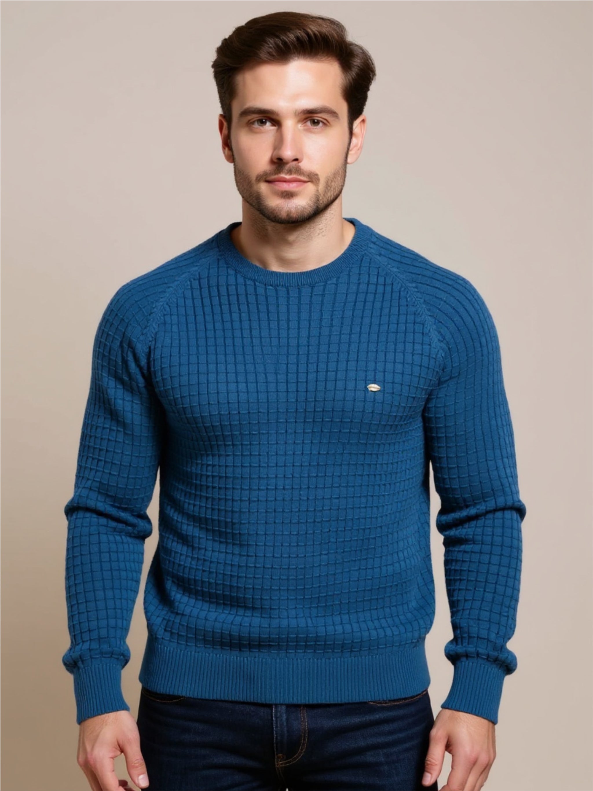 Texture Round Neck Long Sleeve Sweater
